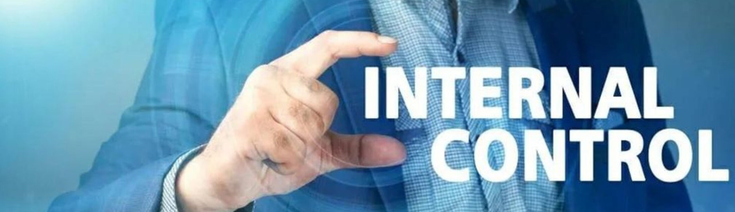 Internal Control System_1