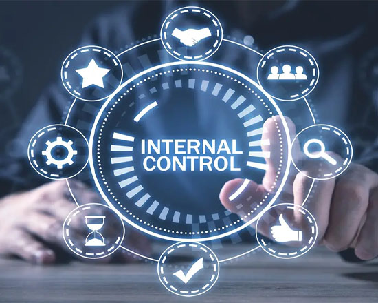 Internal Control System