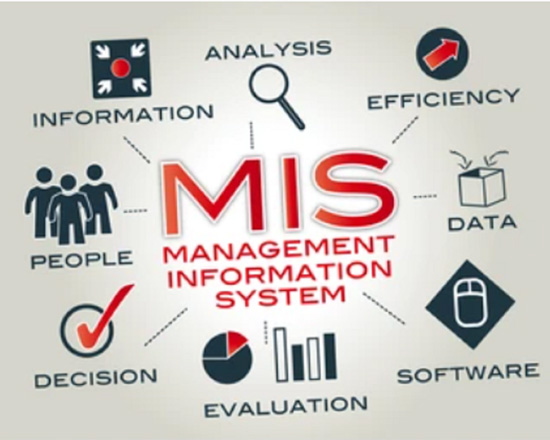 Management Information System