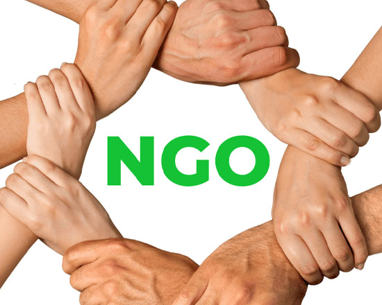 NGO Management Services