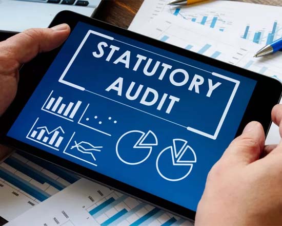 Statutory Audit